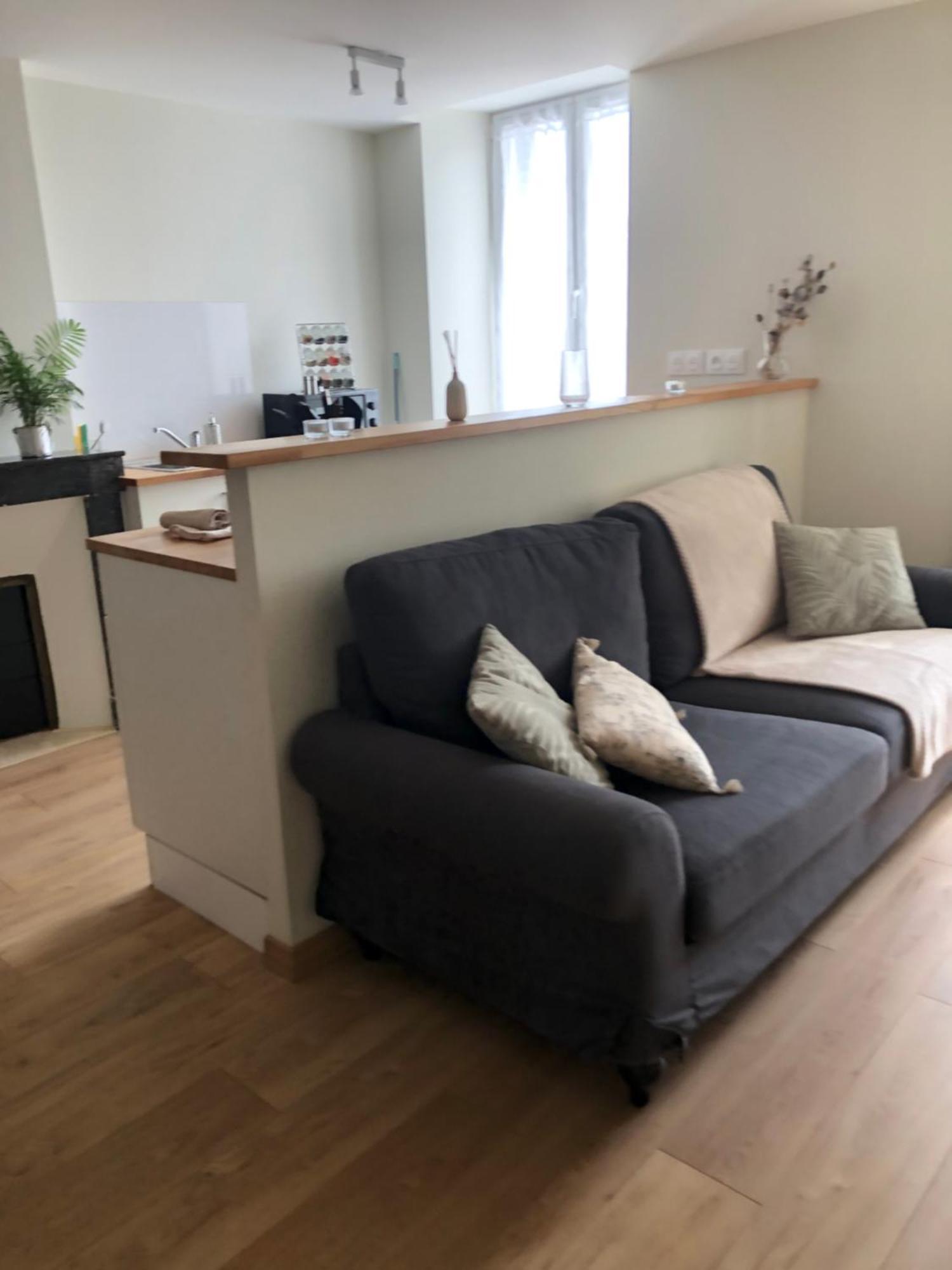 Burin Des Rosiers Appartement Olby Buitenkant foto
